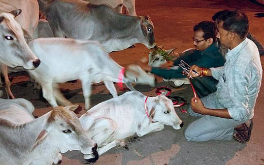 madhya-pradesh...